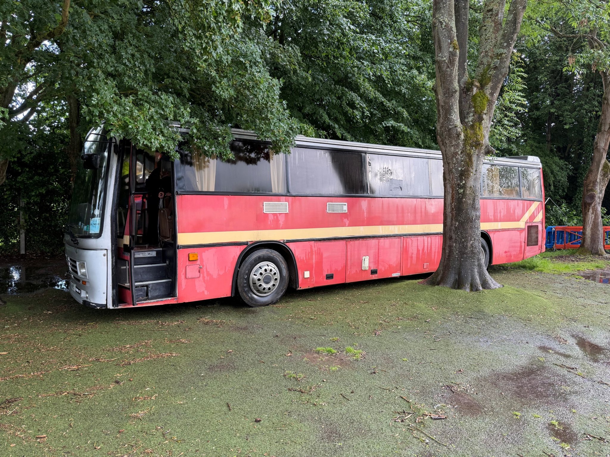 Image of All Aboard the Brooksy Bus!