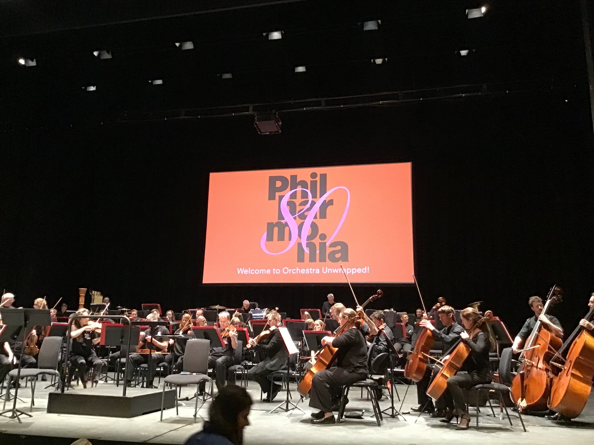 Image of Year 5 Celebrate 80 Years of Music with the Philharmonia Orchestra