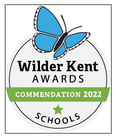 Wilder Kent