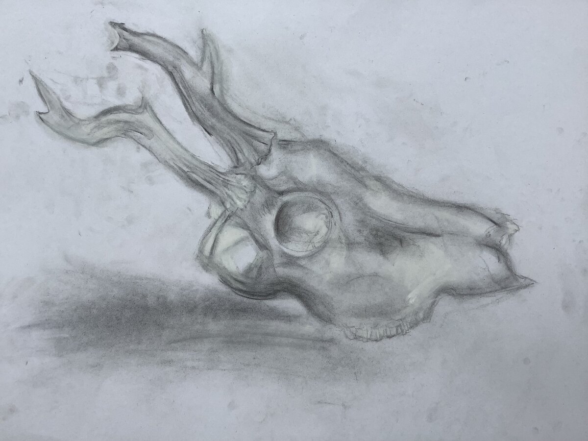 cool skull drawings in pencil