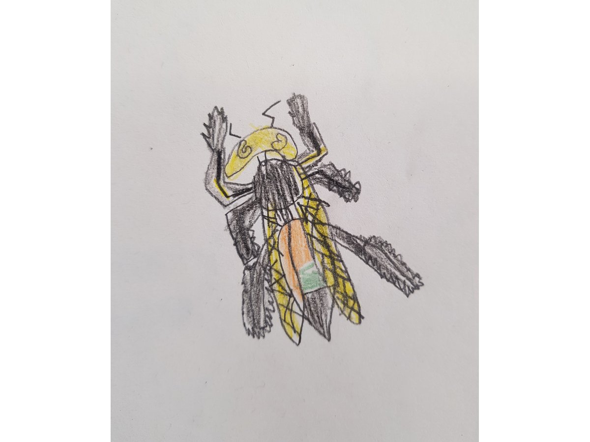 Beetle Detail: Observational Drawing (Autumn 2010) – Hannah's Art Club