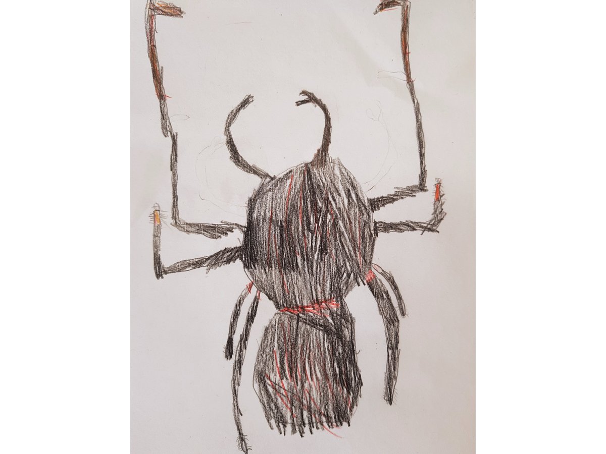 Beetle Detail: Observational Drawing (Autumn 2010) – Hannah's Art Club