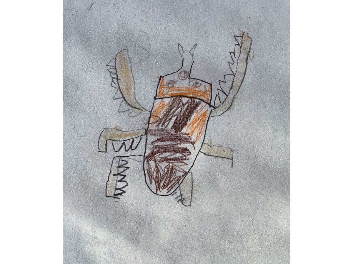 Beetle Detail: Observational Drawing (Autumn 2010) – Hannah's Art Club