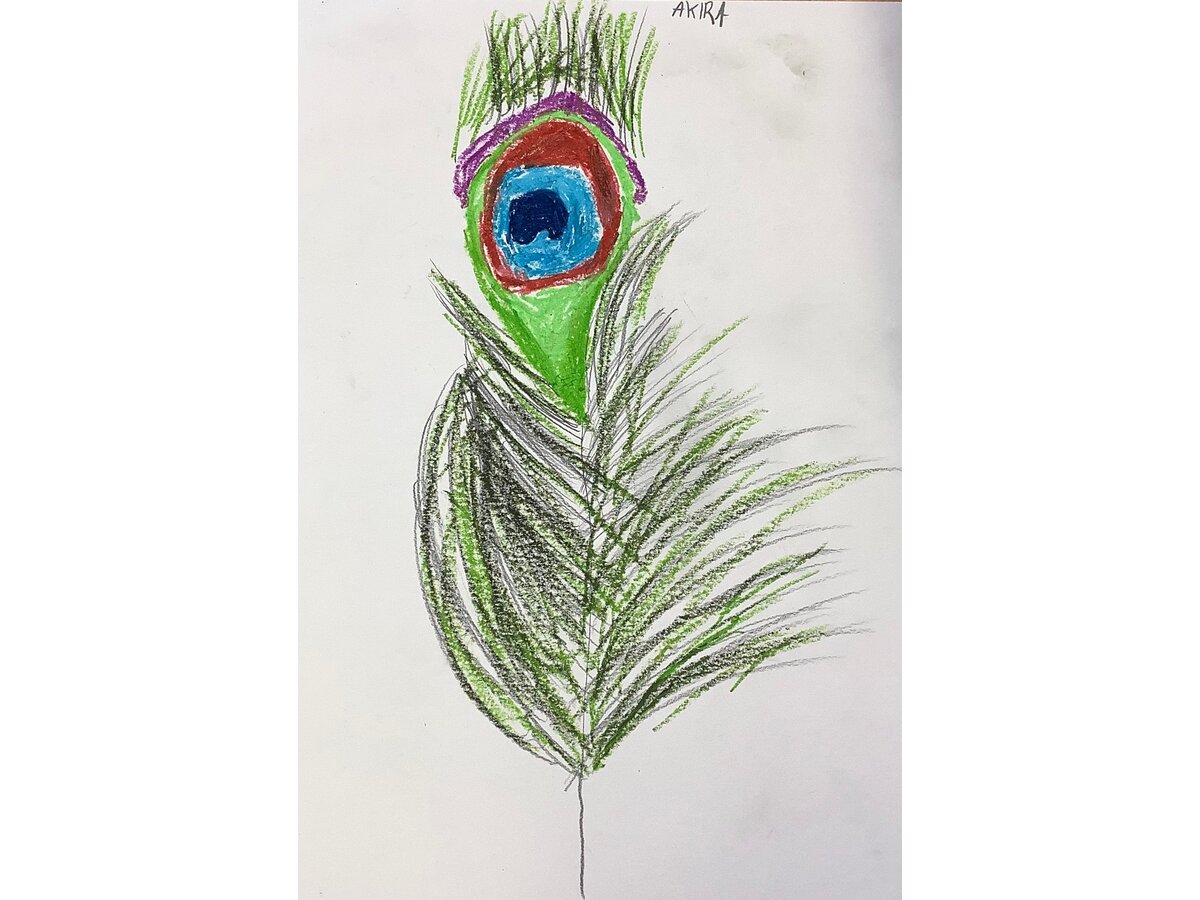 Peacock Feather Drawing  Lizzie74911  Flickr