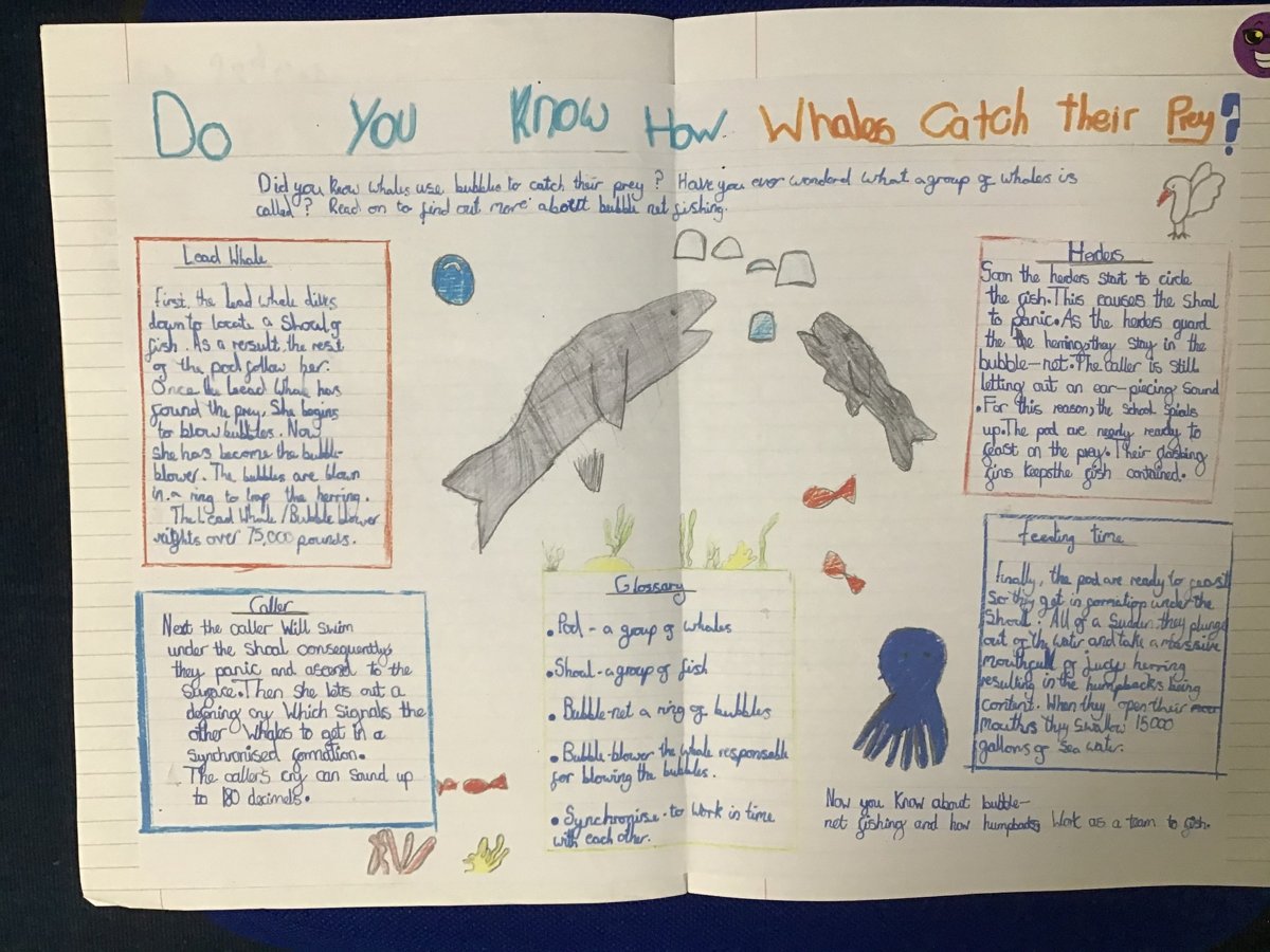 Explanation Text Year 2