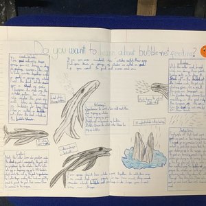 Year 5 Explanation Texts | Bridge & Patrixbourne CEP School