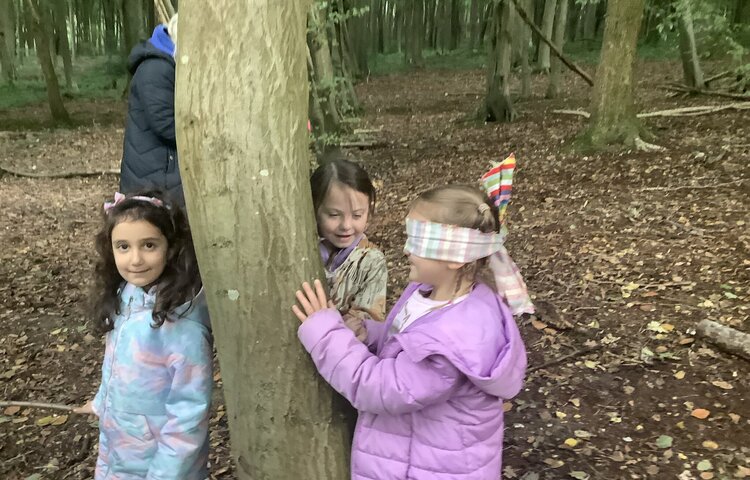 Image of Woodland trip to Covert woods Year 1 October 2024 