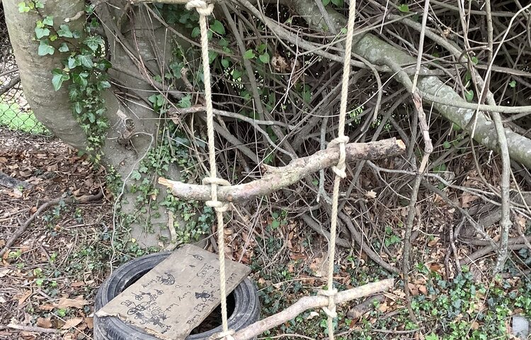 Image of Year 5 Forest School Term 5 2024-2025