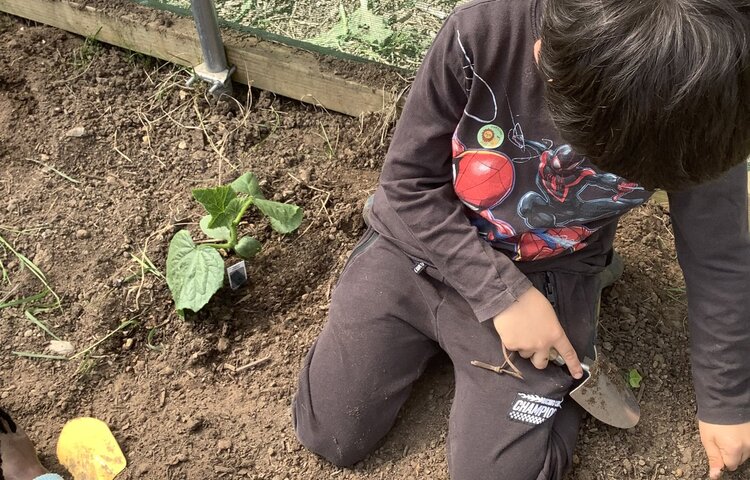 Image of Year 1 Forest School Term 5 2024-2025