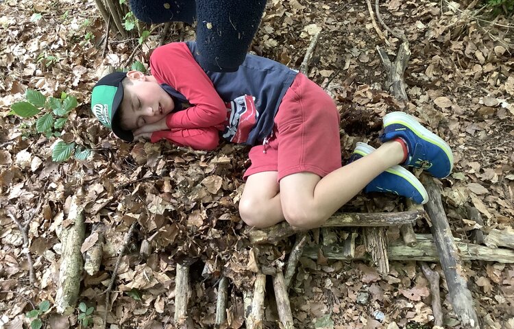 Image of Forest School woodland trip Year 5 2023