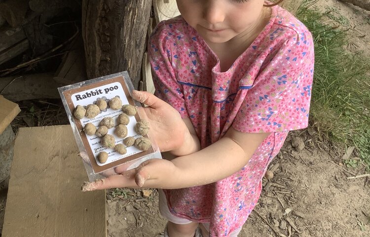 Image of Year R Forest School Term 6 2024-2025