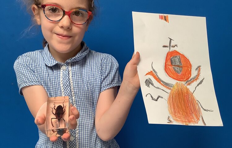 Image of Observational drawing of insects - Year one