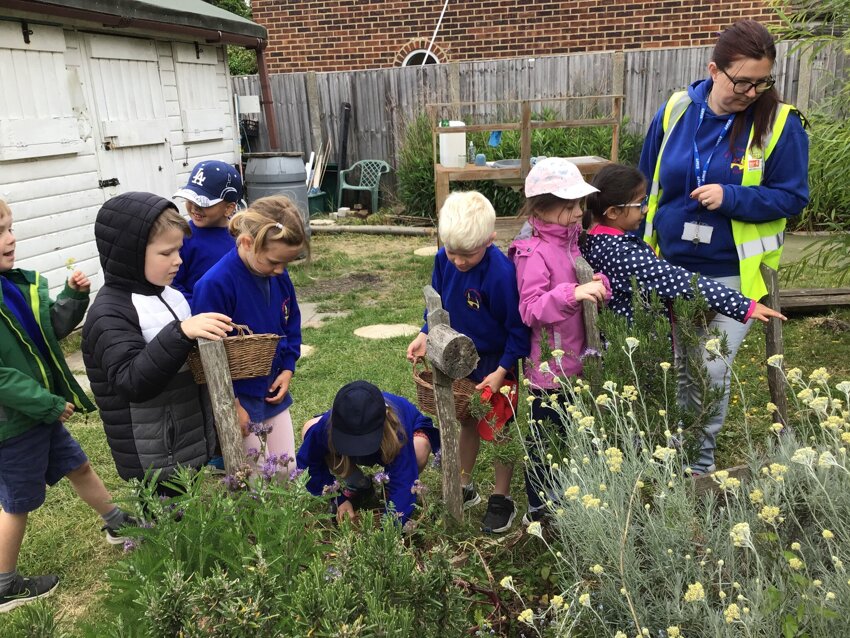 Year 1 Trip to Community Garden | Bridge & Patrixbourne CEP School