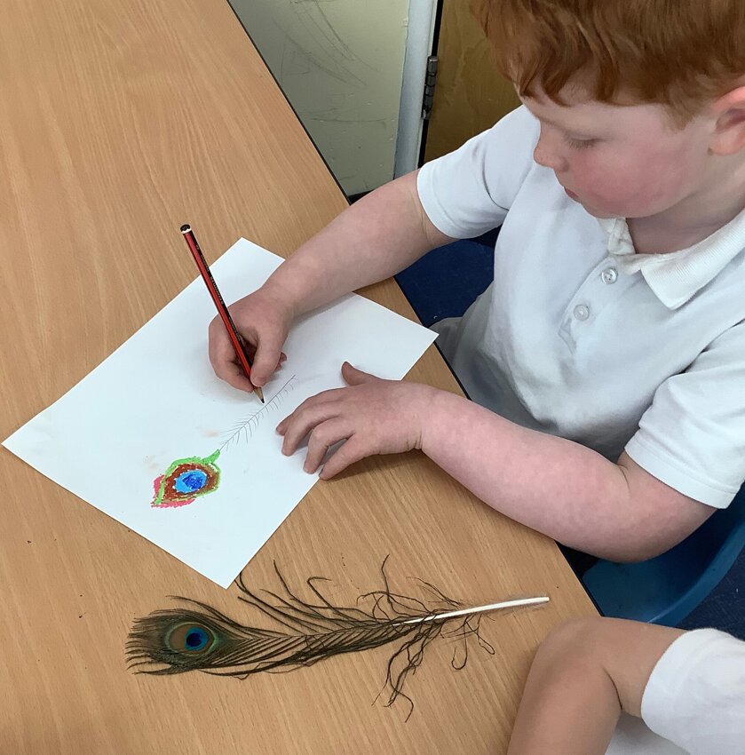 Image of Year 2 observational drawing - peacock feathers