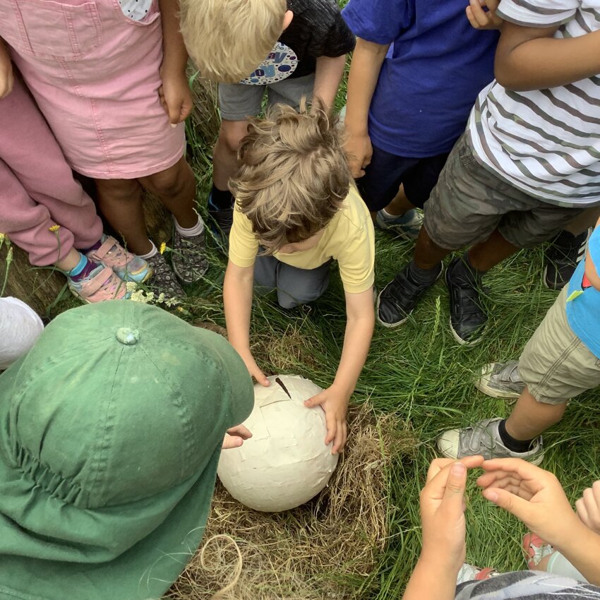 Image of Forest School Year R Term 6 2023