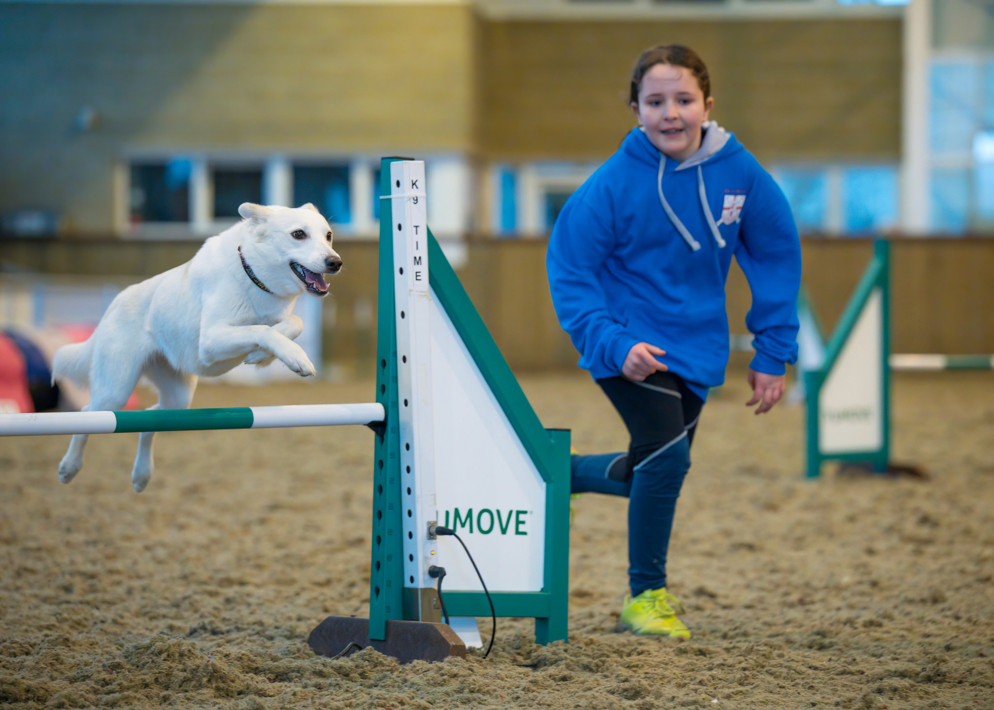 Image of Junior Agility Championship