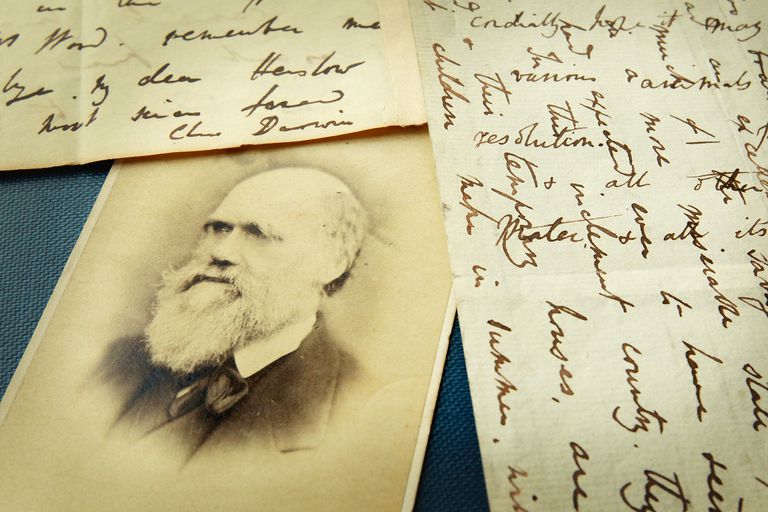 Image of Darwin Diaries