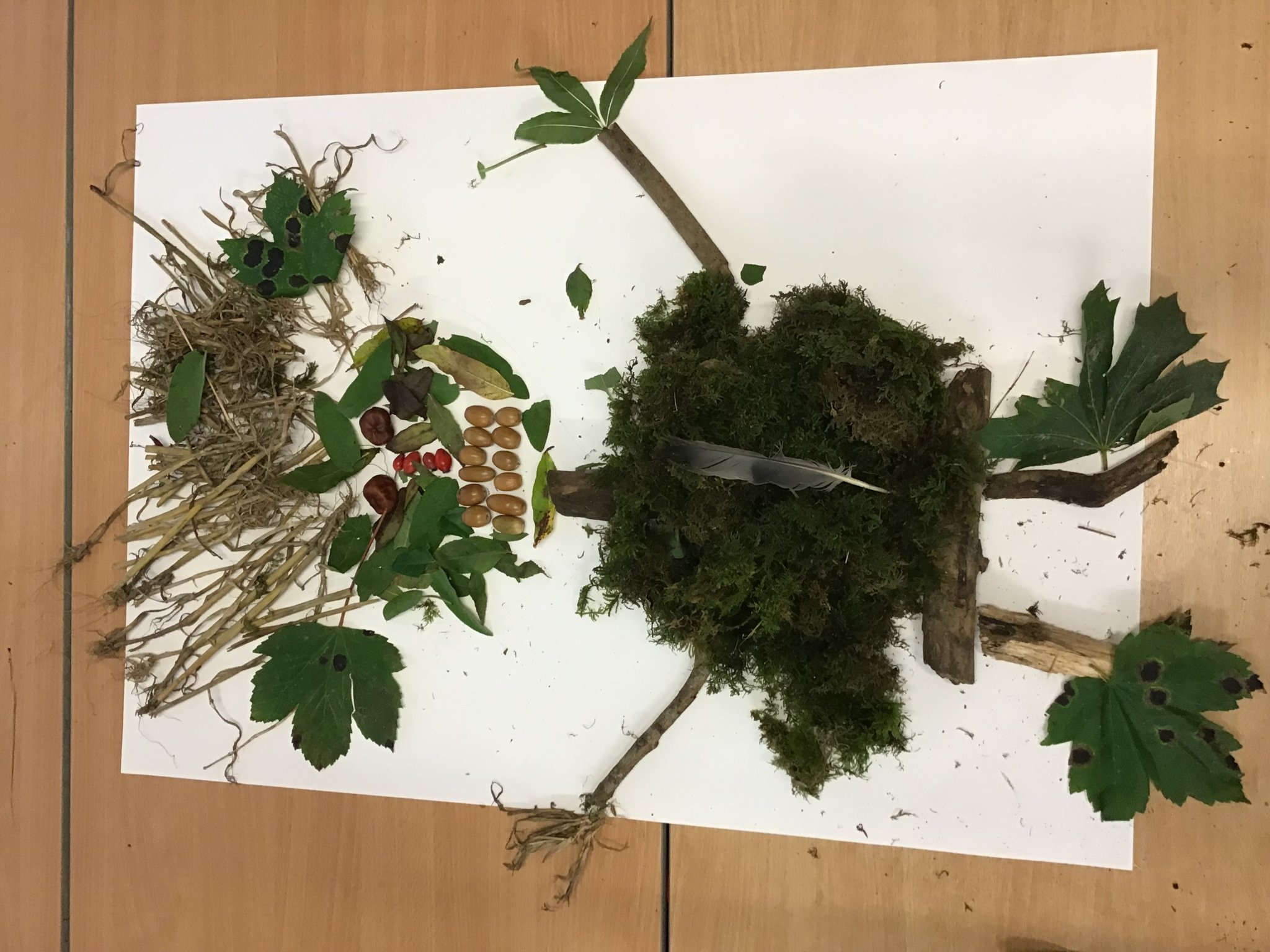 Image of “Where the Wild things are” natural artwork Year 1