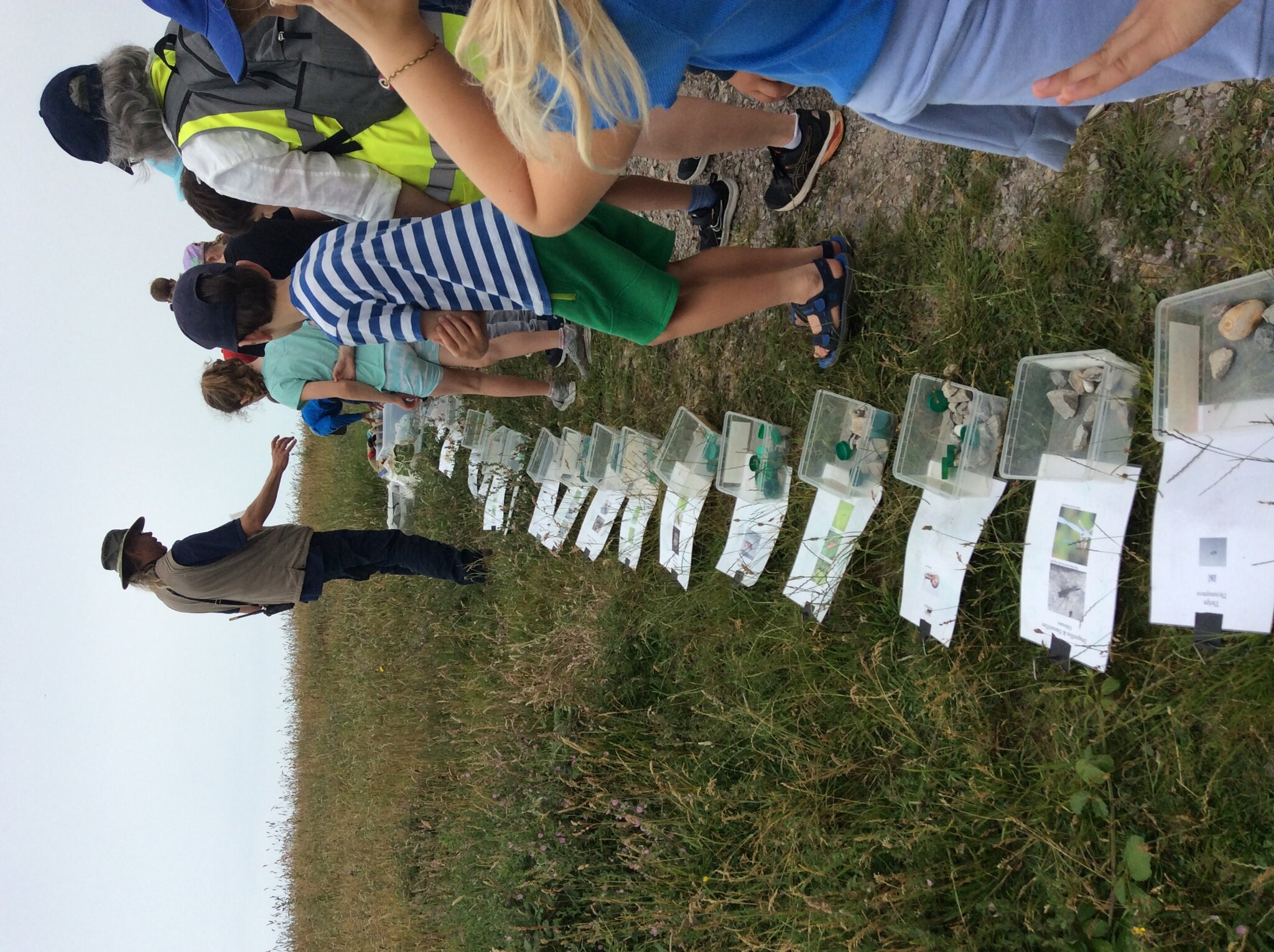 Image of Year 4 at Samphire Hoe