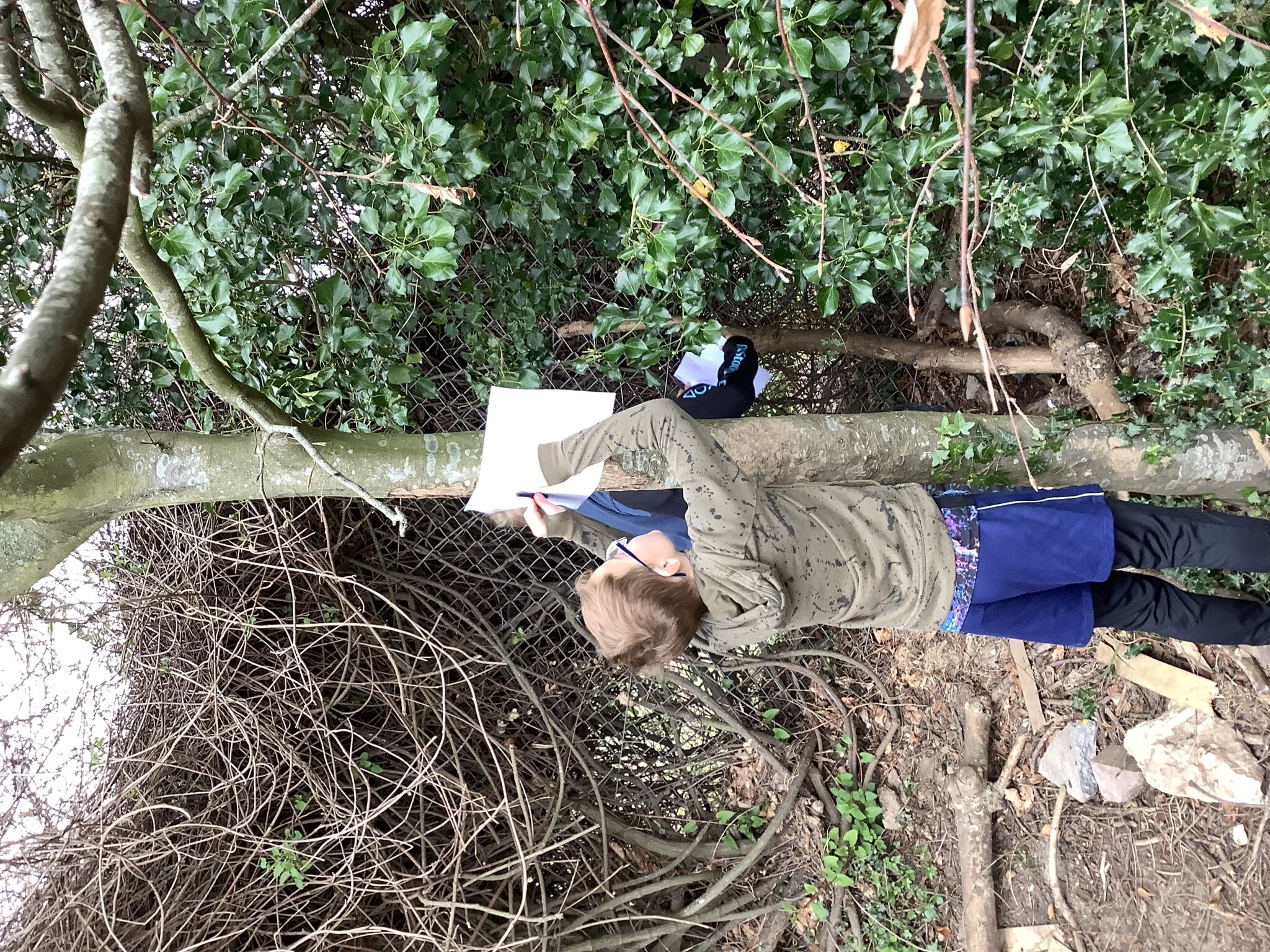 Image of Forest School Year 3 26.4.22