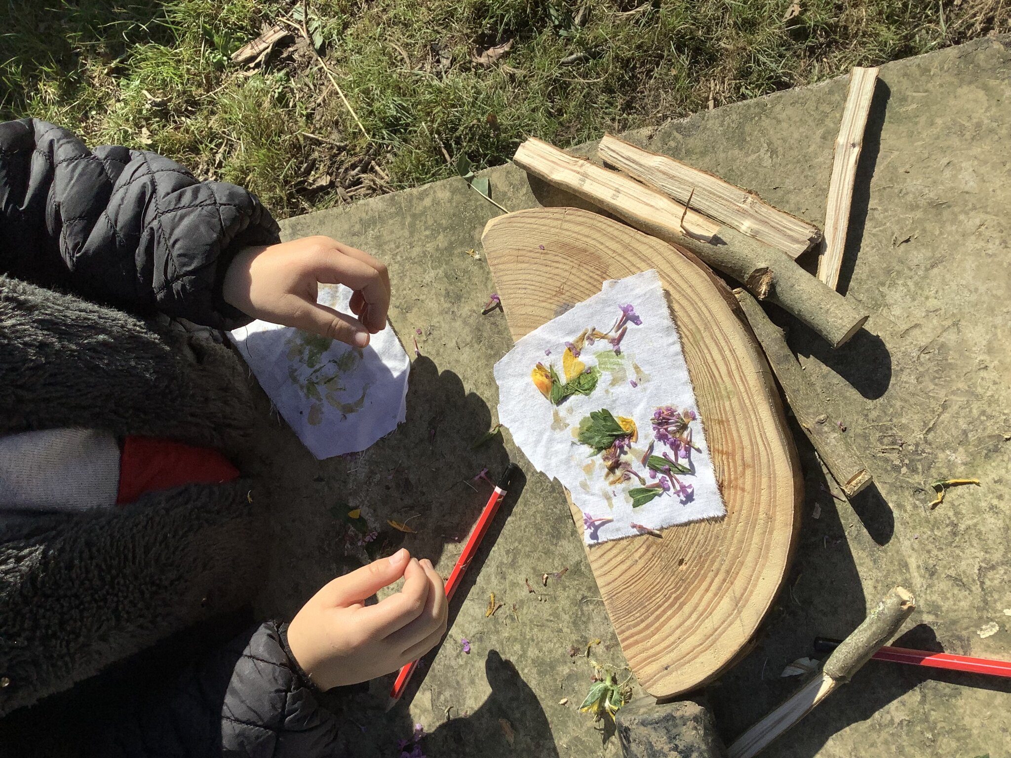 Image of Year 3 Forest School Term 1 2024-2025