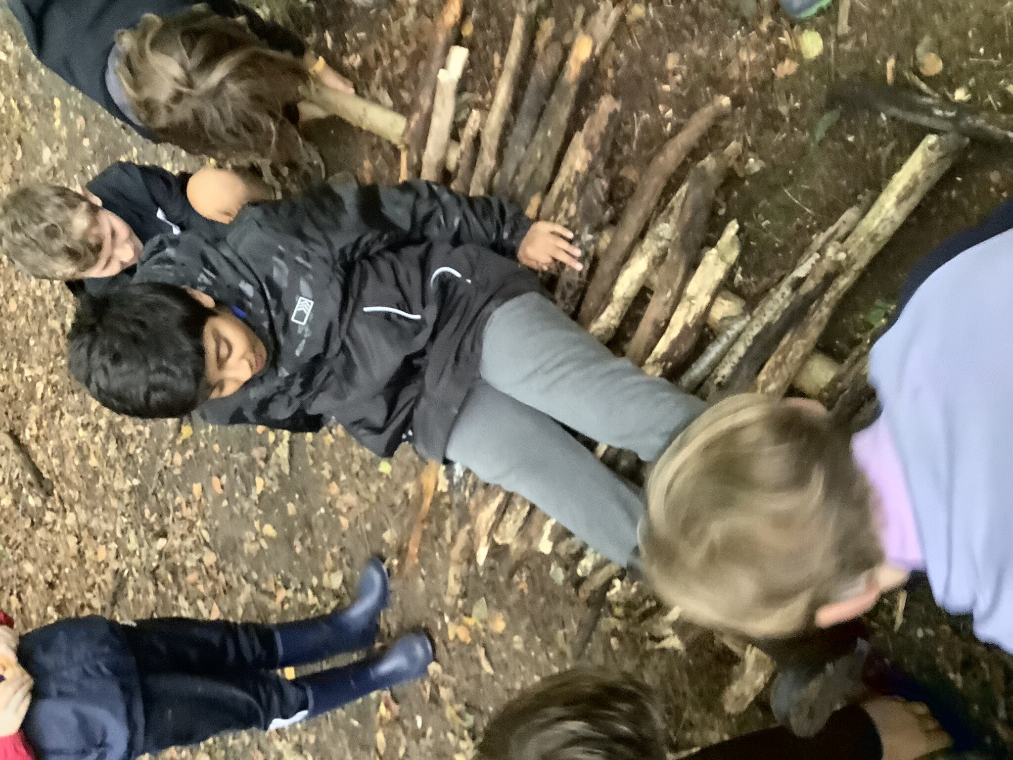 Image of Woodland Trip Year 6 October 2024 