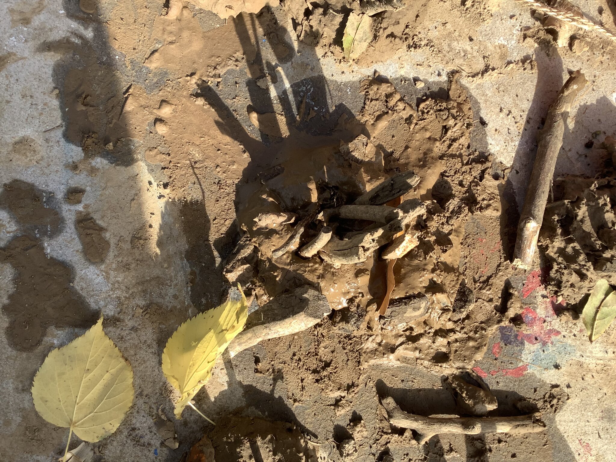 Image of Year 1 Forest School Autumn Term 1 