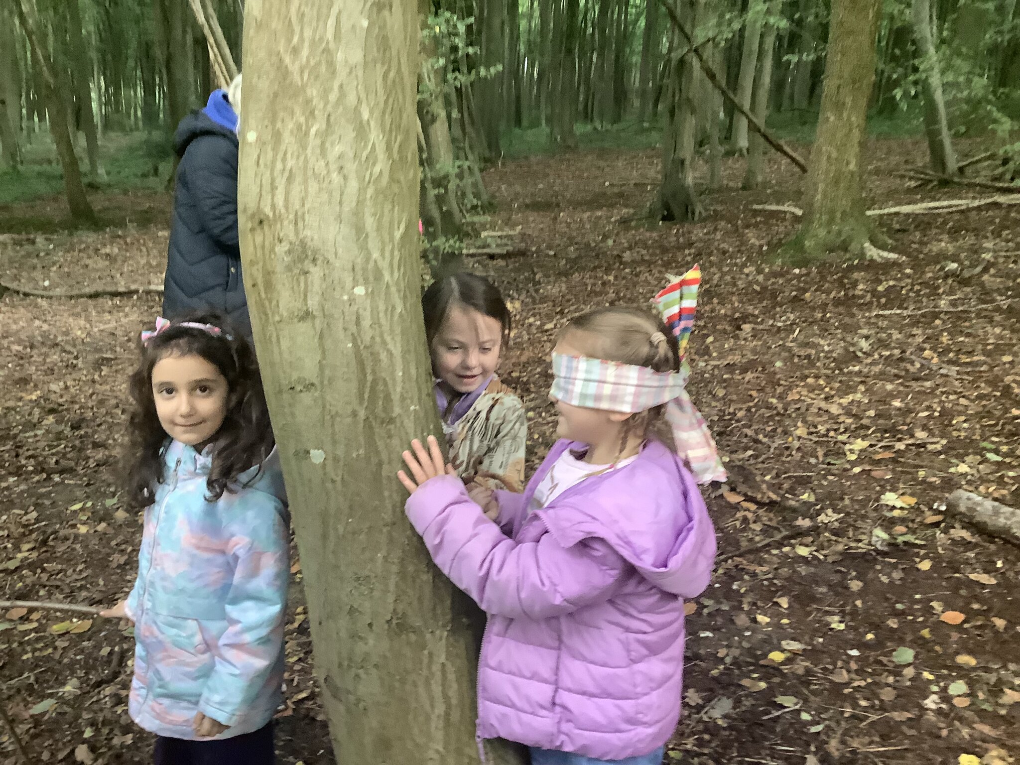 Image of Woodland trip to Covert woods Year 1 October 2024 