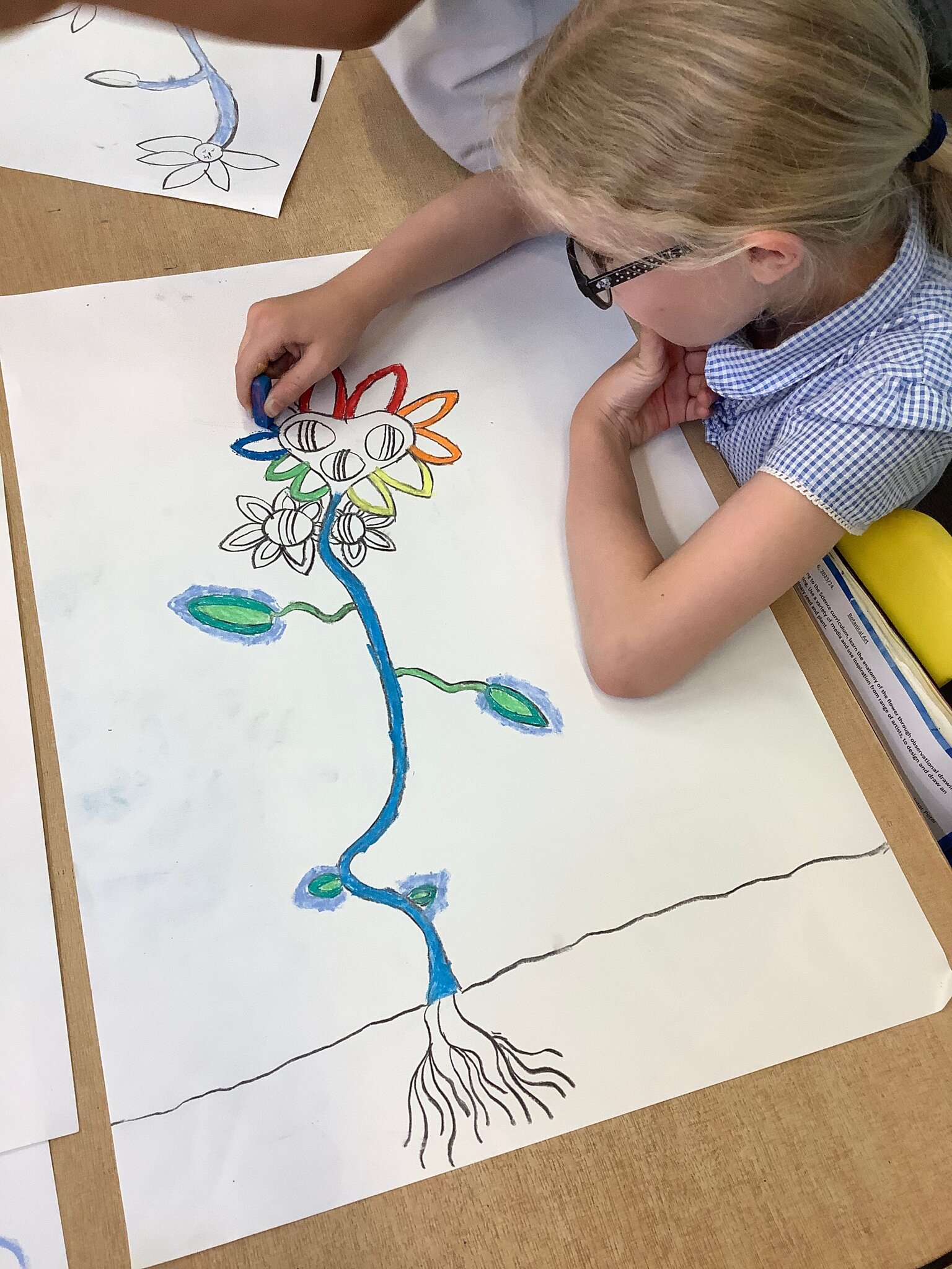 Image of Botanical Art and Science - Year 3