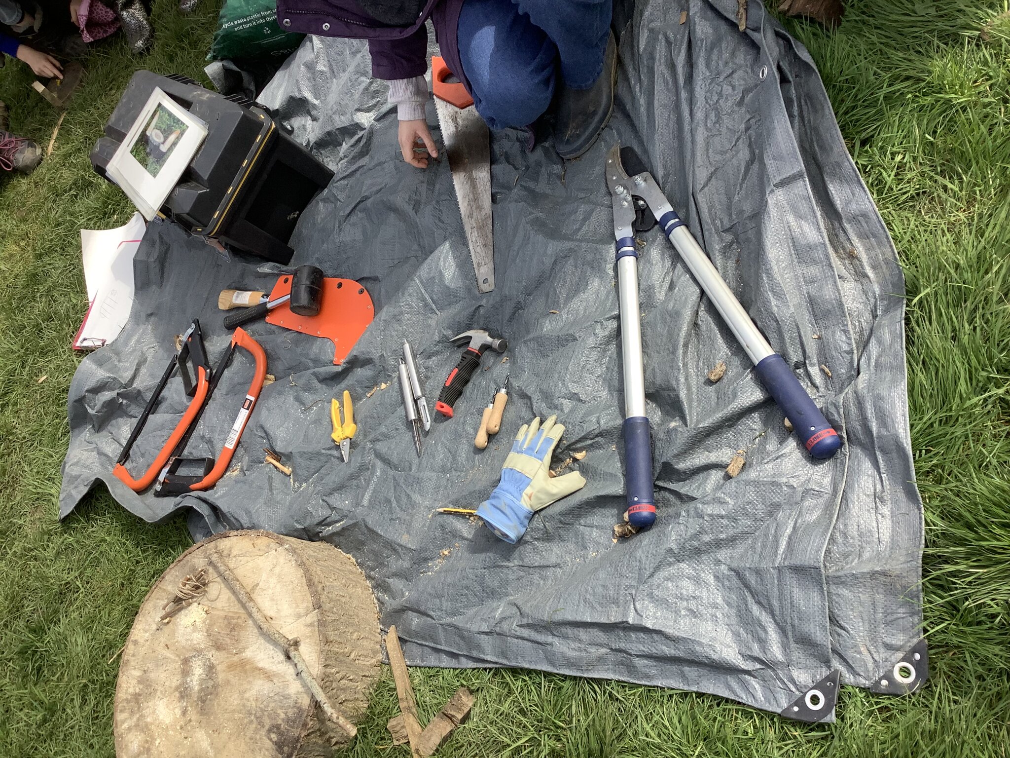 Image of Year 5 Forest School Term 5 2023 