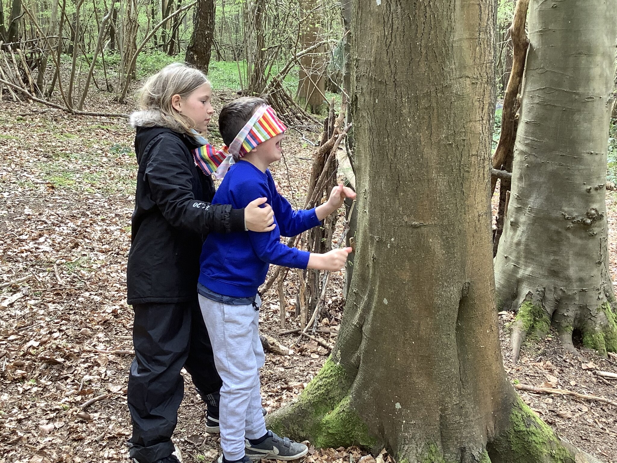 Image of Year 4 Forest School Trip Covert Woods 2023 