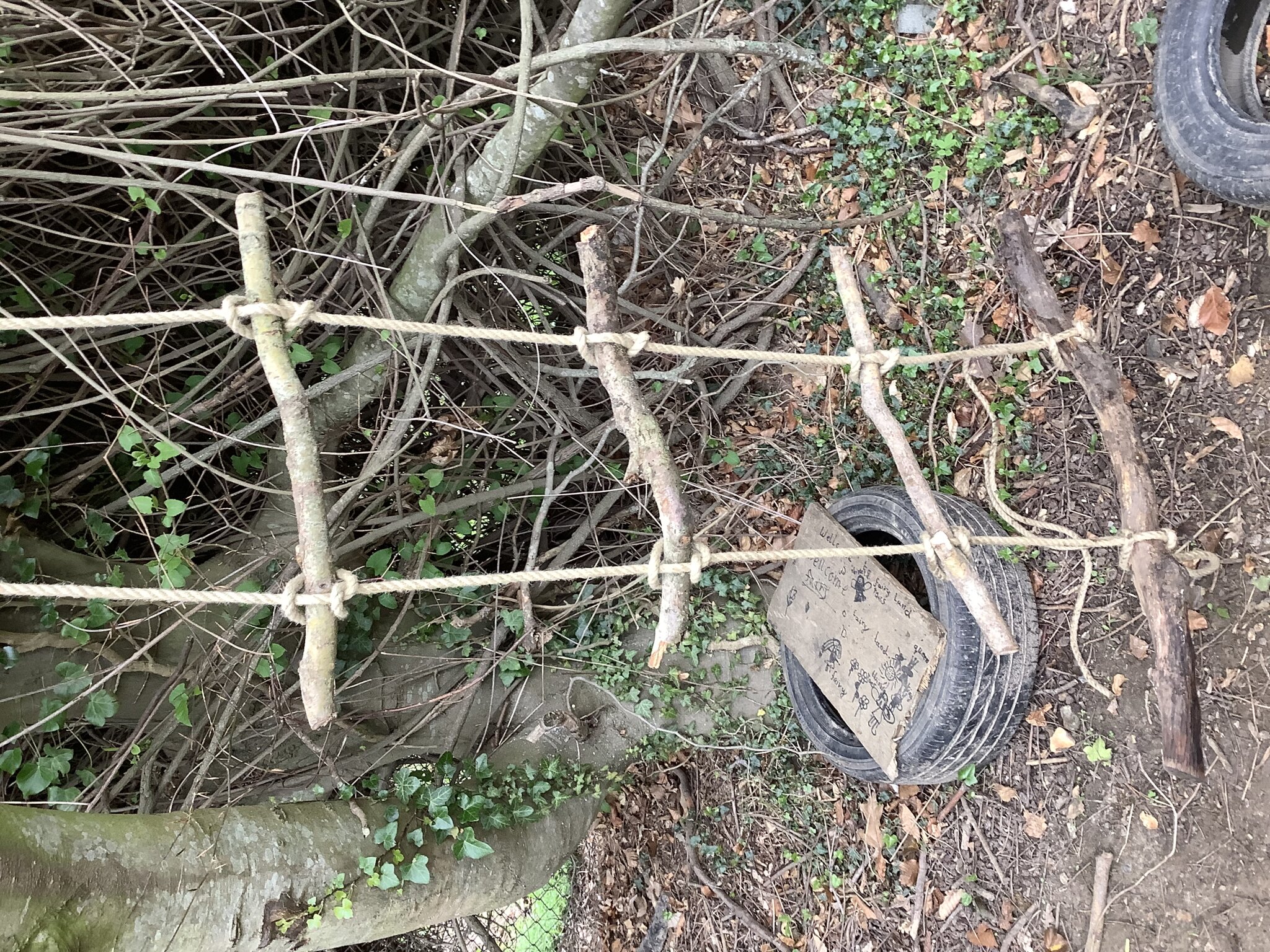 Image of Year 5 Forest School Term 5 2024-2025
