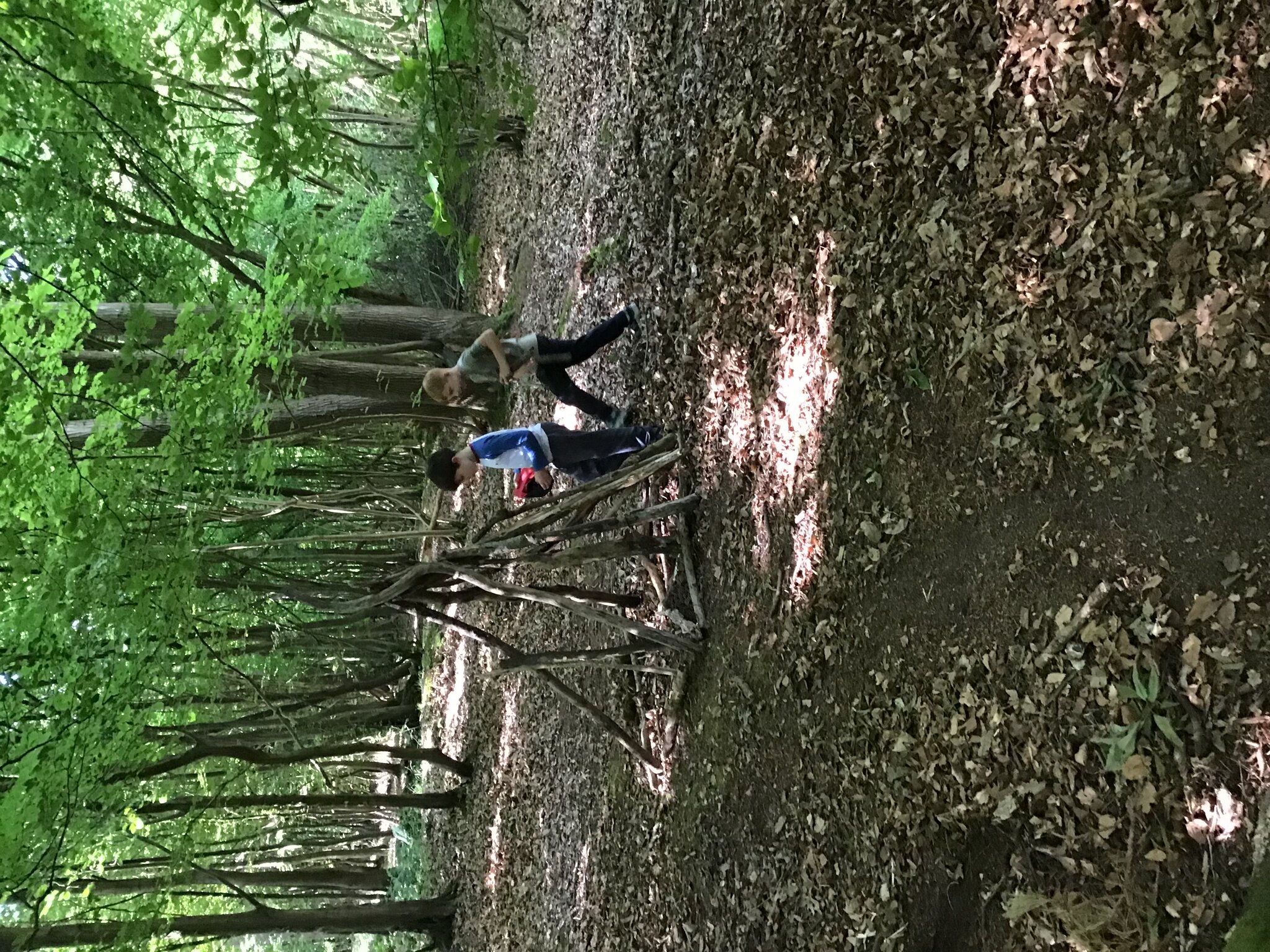 Image of Year 2 Forest School Trip June 2025