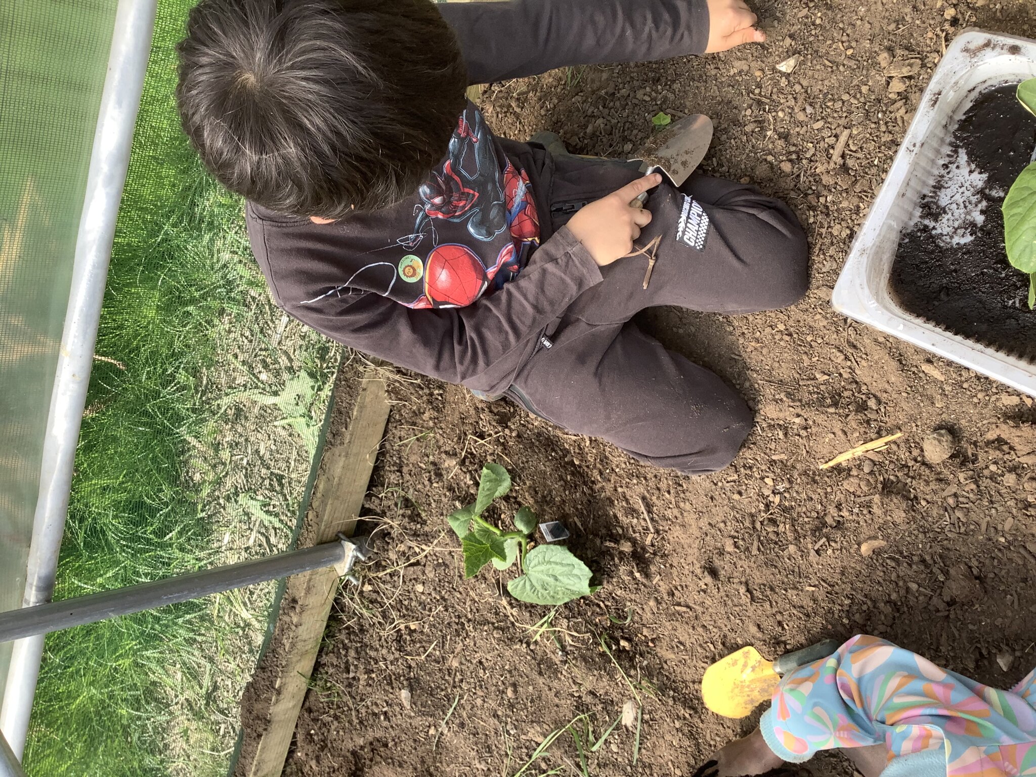 Image of Year 1 Forest School Term 5 2024-2025