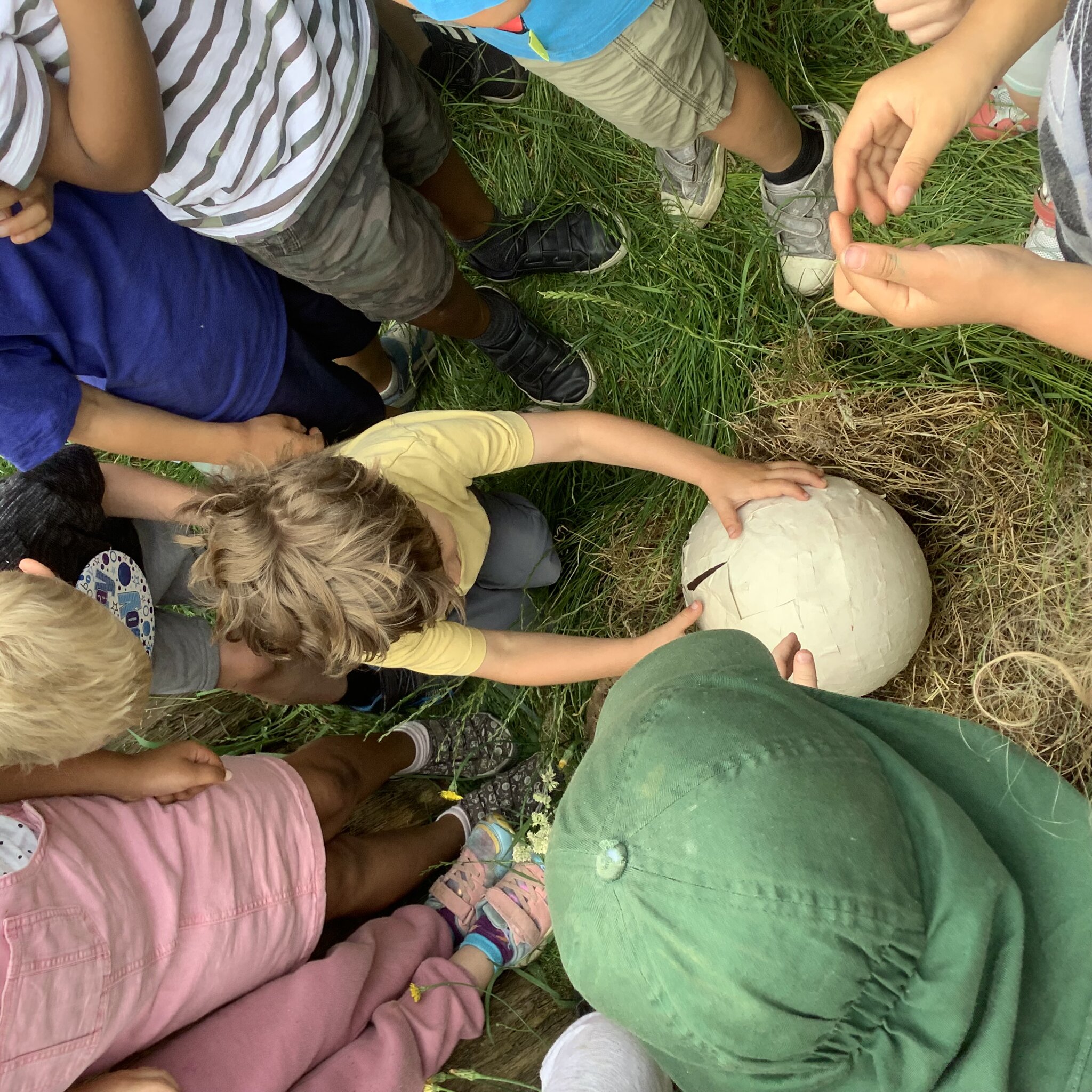 Image of Forest School Year R Term 6 2023