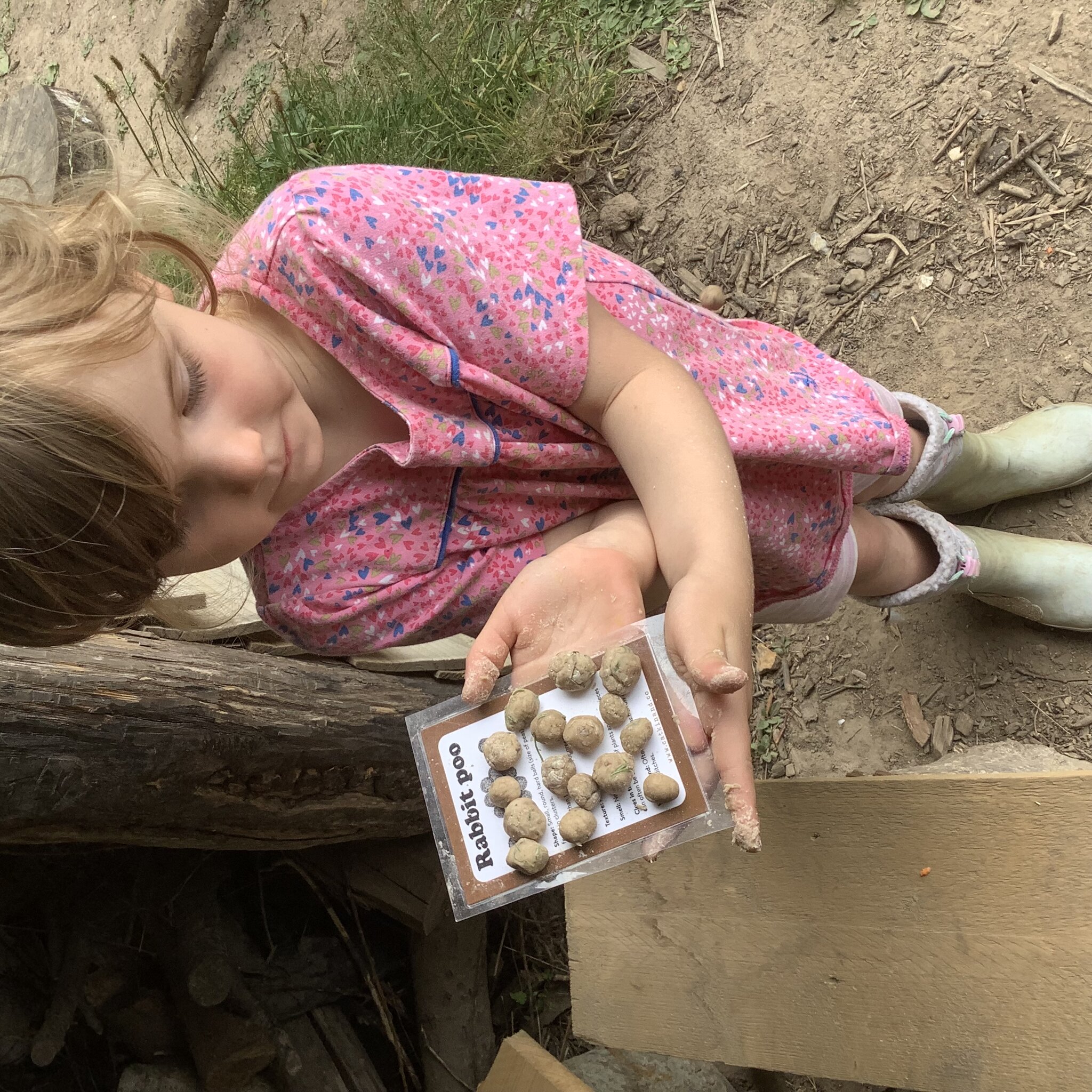 Image of Year R Forest School Term 6 2024-2025