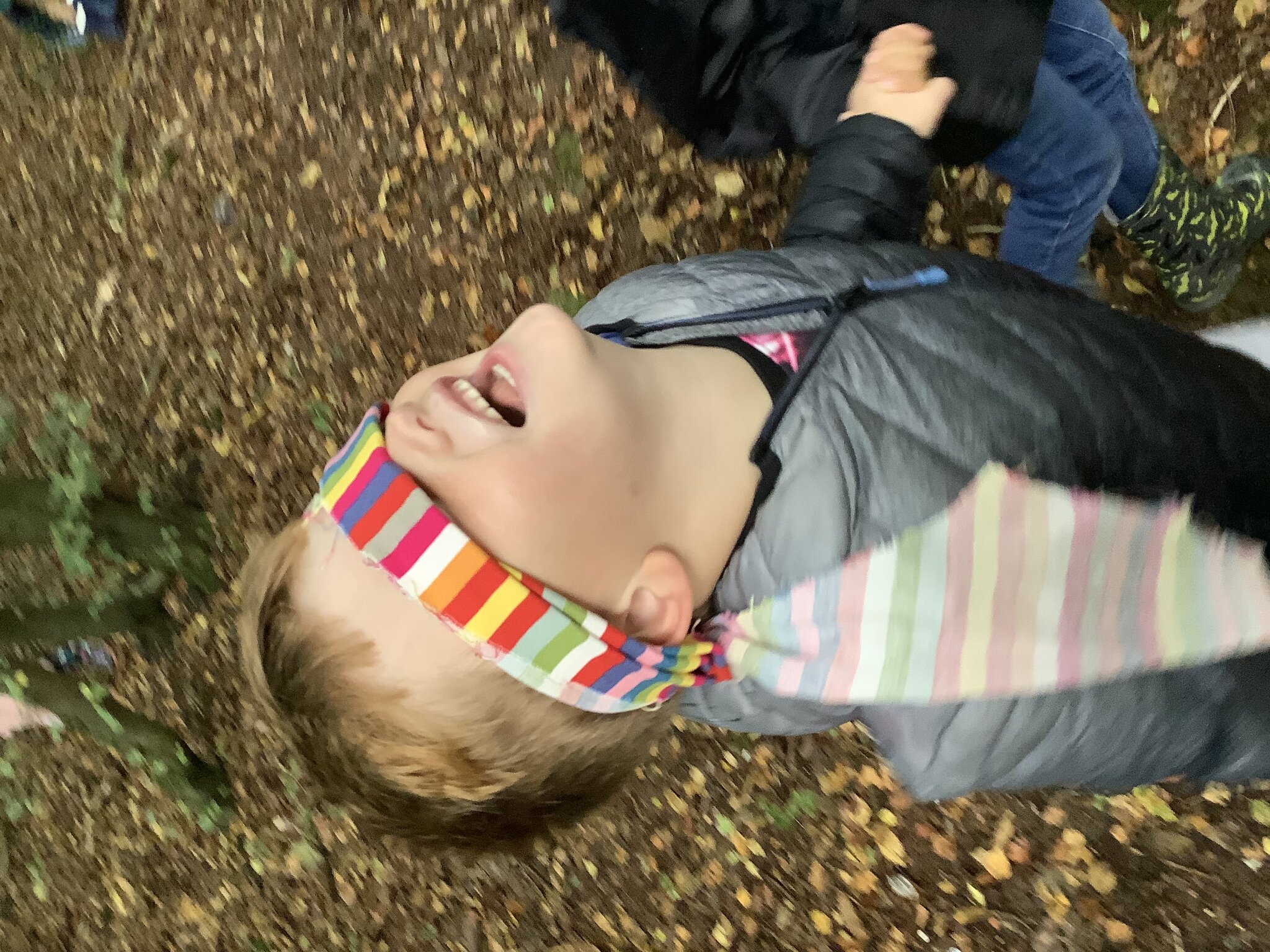 Image of Year 1 woodland trip September 2023