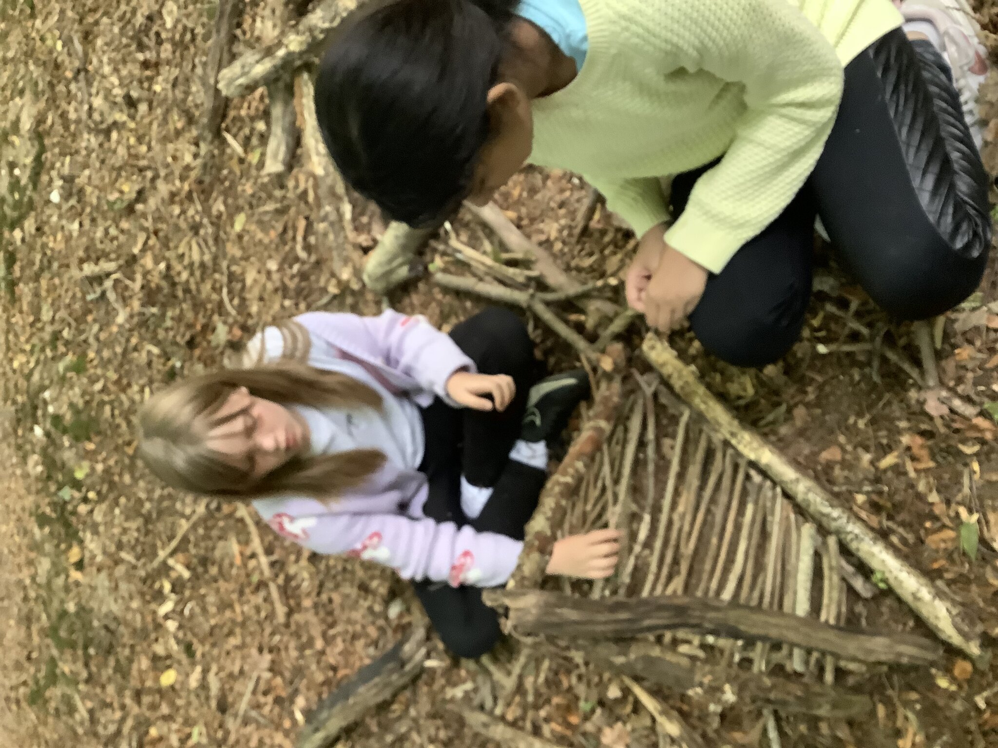 Image of Year 6 woodland trip 