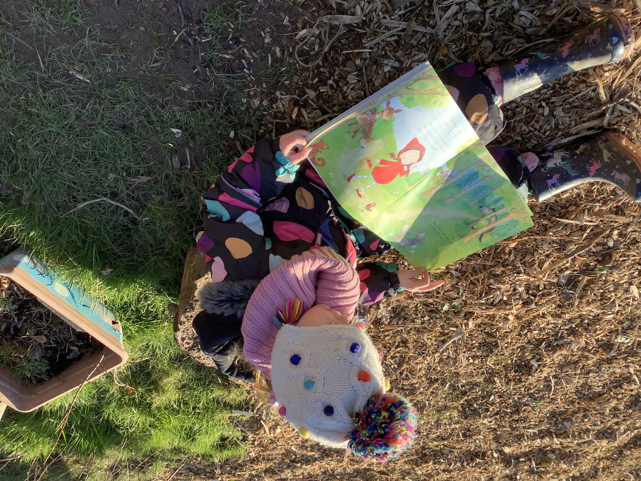 Image of Year 1 Forest School Term 3 2024