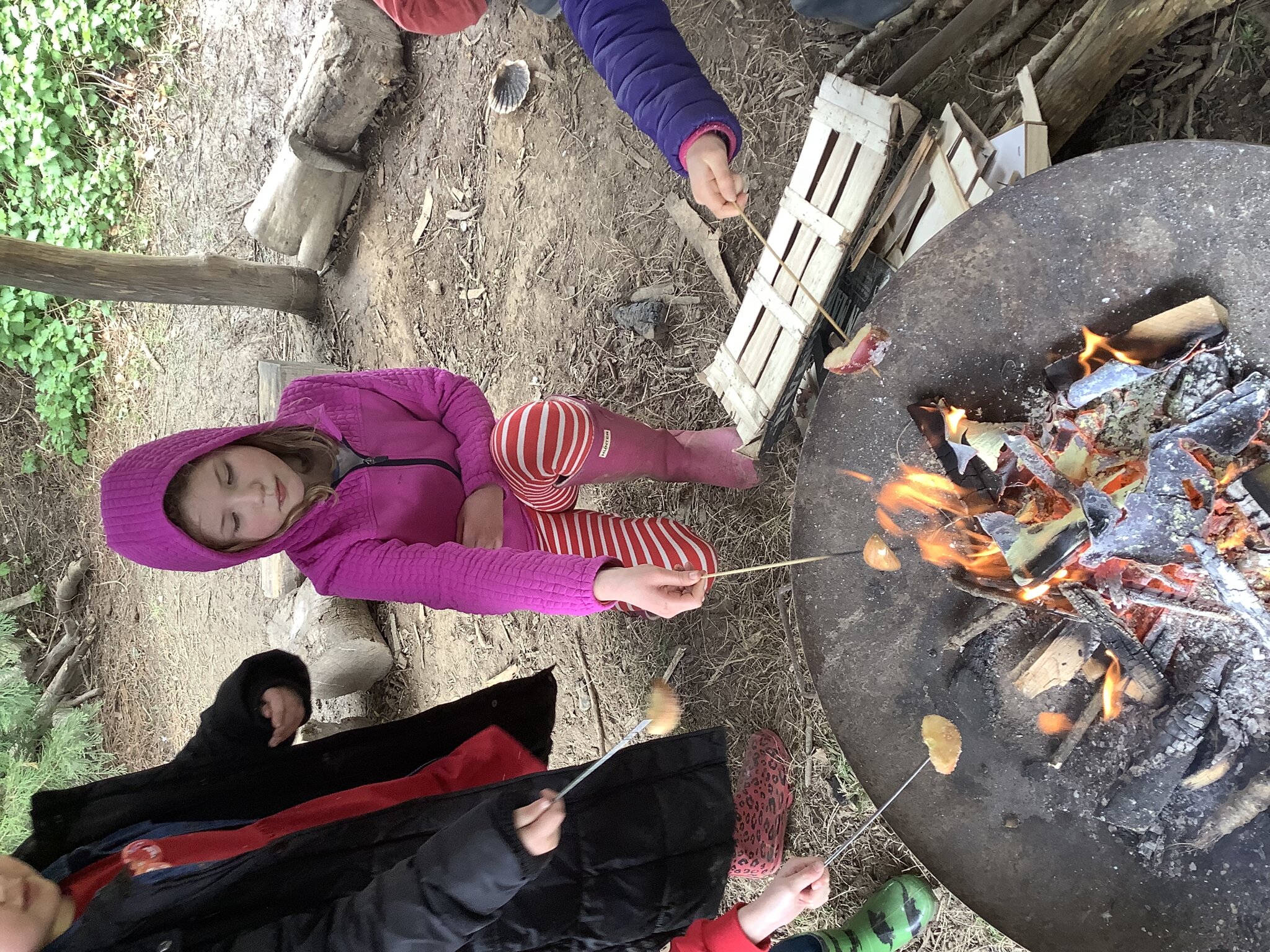 Image of Year 4 Term 4 Forest School 2024