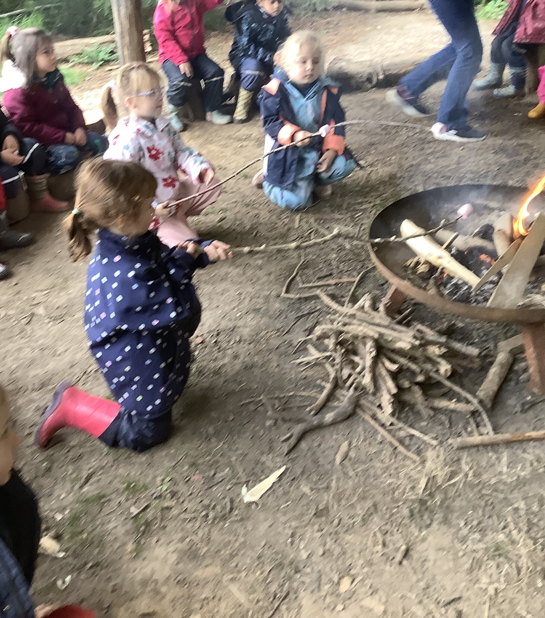 Image of Forest School Year R - Term 5 - 2024 