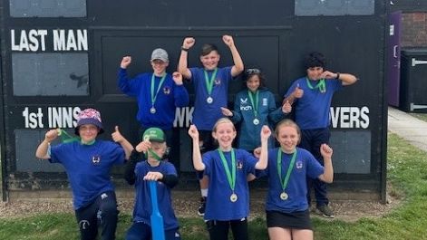 Image of Year 5/6 Cricket Report