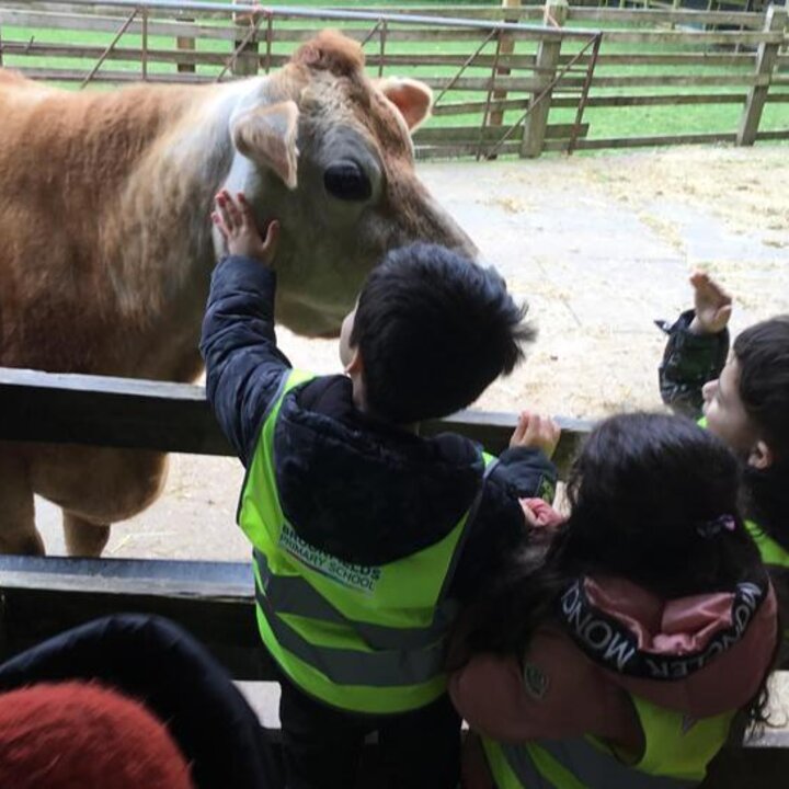 Image of Reception Trip- Ash End Farm