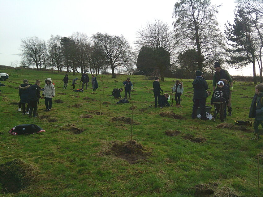 Image of Y4 Tree Planting Project