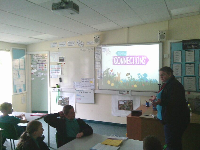 Image of Year 5's Chester Zoo Workshop