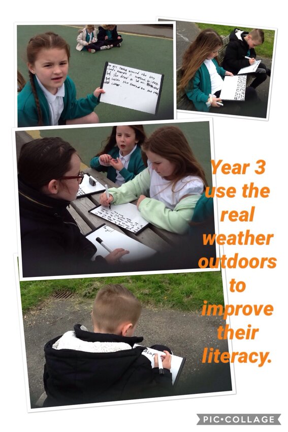 Image of Outdoor literacy