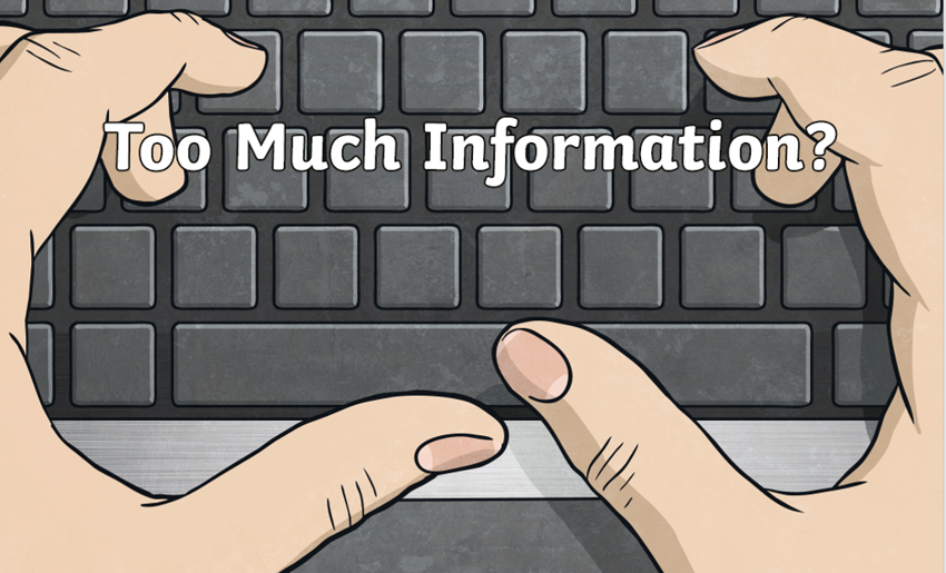 Image of Online Safety - Too Much Information?!?