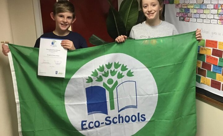 Image of Our school has been awarded the Green Flag status to show we are an Eco School