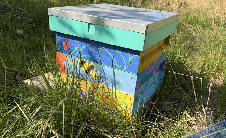 Image of New Beehives