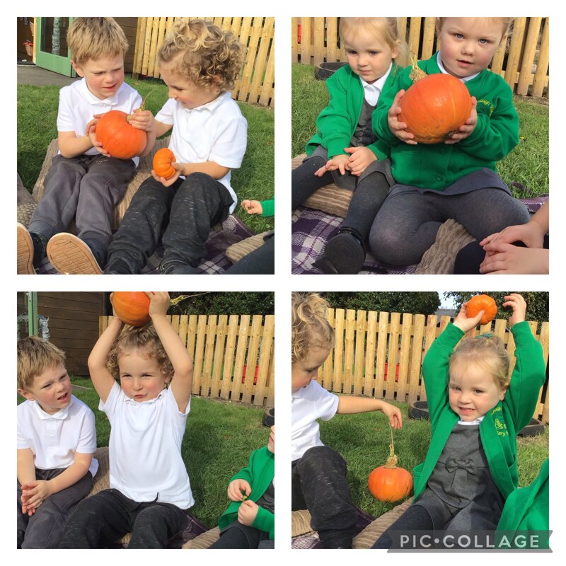 Image of Nursery Pumpkin Picking 